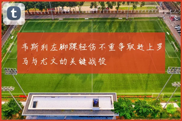 韦斯利左脚踝轻伤不重争取赶上罗马与尤文的关键战役